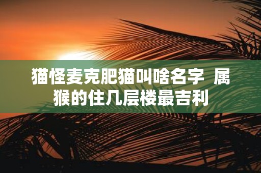 猫怪麦克肥猫叫啥名字 属猴的住几层楼最吉利