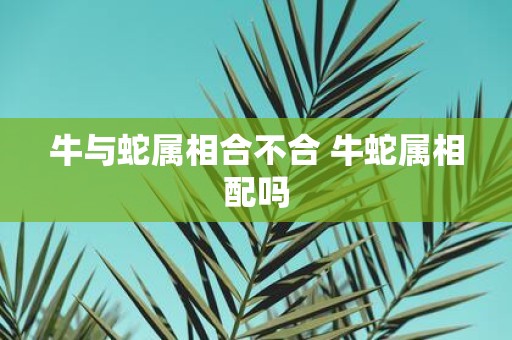 牛与蛇属相合不合 牛蛇属相配吗