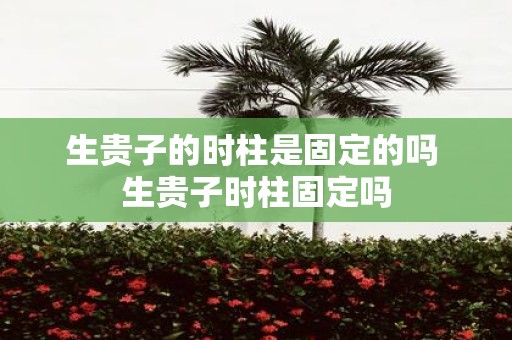 生贵子的时柱是固定的吗 生贵子时柱固定吗