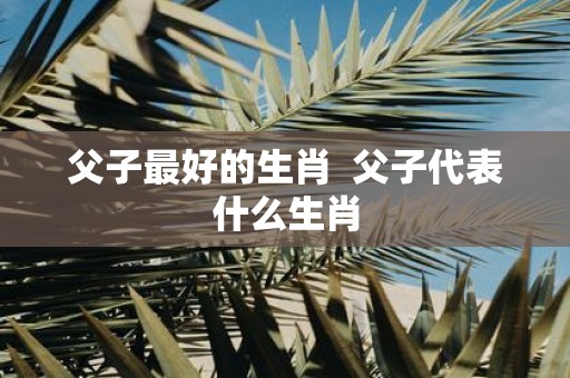 父子最好的生肖 父子代表什么生肖