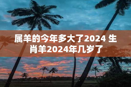 属羊的今年多大了2025 生肖羊2025年几岁了
