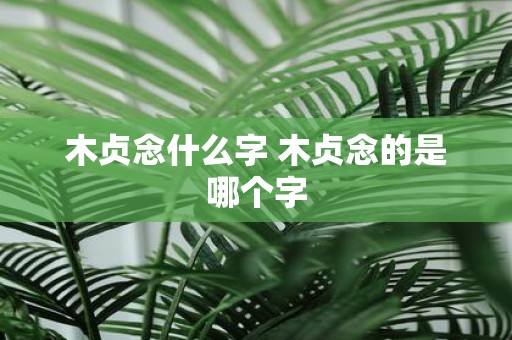 木贞念什么字 木贞念的是哪个字 木贞念什么字 木贞念的是哪个字