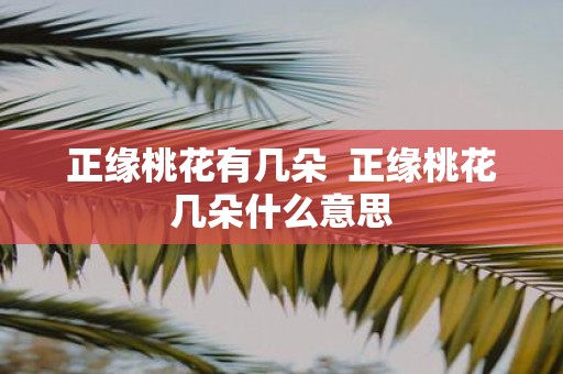 正缘桃花有几朵 正缘桃花几朵什么意思