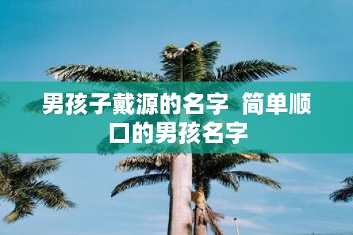 男孩子戴源的名字 简单顺口的男孩名字