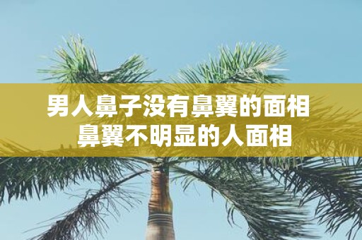 男人鼻子没有鼻翼的面相 鼻翼不明显的人面相