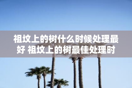 祖坟上的树什么时候处理最好 祖坟上的树最佳处理时间是什么时候