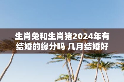 生肖兔和生肖猪2025年有结婚的缘分吗 几月结婚好