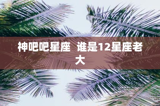 神吧吧星座 谁是12星座老大