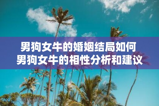男狗女牛的婚姻结局如何 男狗女牛的相性分析和建议