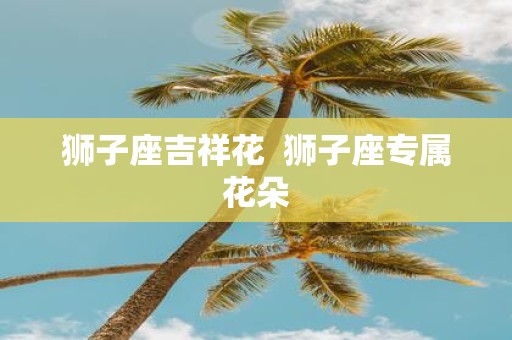 狮子座吉祥花 狮子座专属花朵