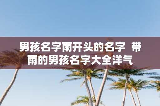 男孩名字雨开头的名字 带雨的男孩名字大全洋气