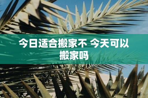 今日适合搬家不 今天可以搬家吗