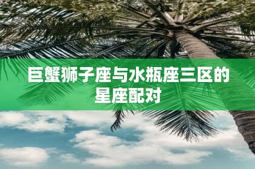 巨蟹狮子座与水瓶座三区的星座配对