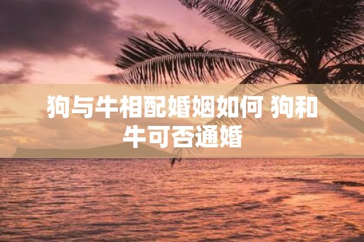 狗与牛相配婚姻如何 狗和牛可否通婚