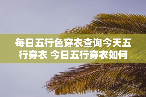 每日五行色穿衣查询今天五行穿衣 今日五行穿衣如何