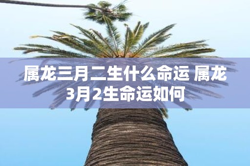 属龙三月二生什么命运 属龙3月2生命运如何