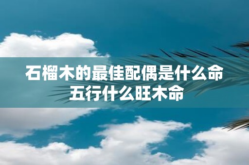 石榴木的最佳配偶是什么命 五行什么旺木命