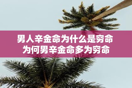男人辛金命为什么是穷命 为何男辛金命多为穷命