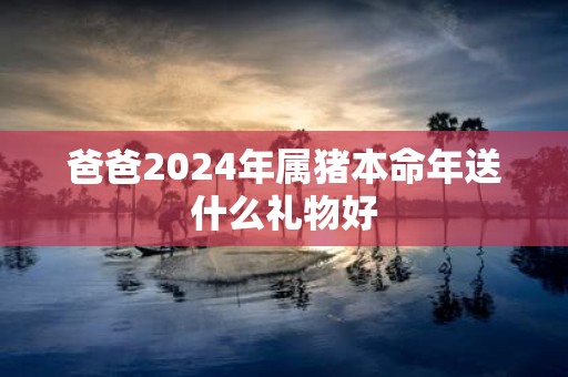爸爸2025年属猪本命年送什么礼物好
