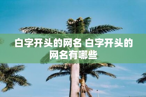 白字开头的网名 白字开头的网名有哪些