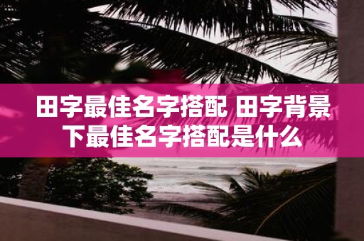 田字最佳名字搭配 田字背景下最佳名字搭配是什么