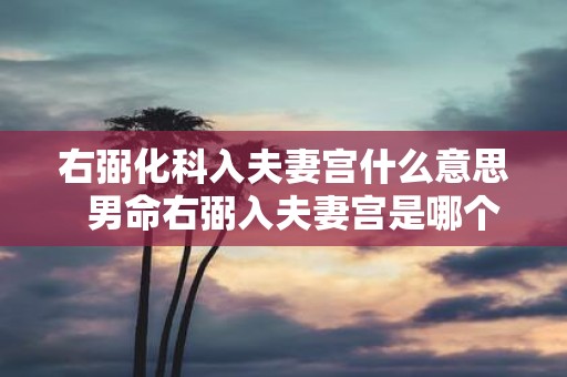 右弼化科入夫妻宫什么意思 男命右弼入夫妻宫是哪个出轨
