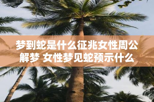 梦到蛇是什么征兆女性周公解梦 女性梦见蛇预示什么