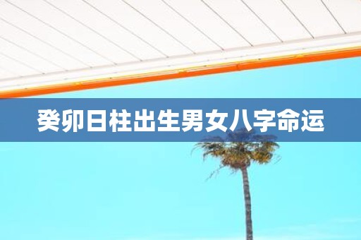 癸卯日柱出生男女八字命运