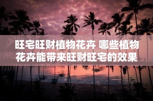 旺宅旺财植物花卉 哪些植物花卉能带来旺财旺宅的效果