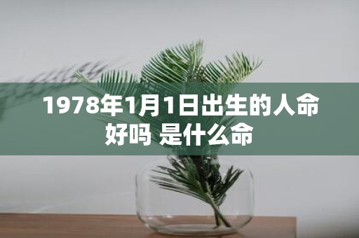 1978年1月1日出生的人命好吗 是什么命