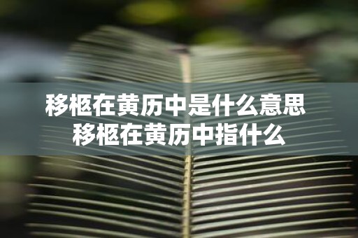移柩在黄历中是什么意思 移柩在黄历中指什么