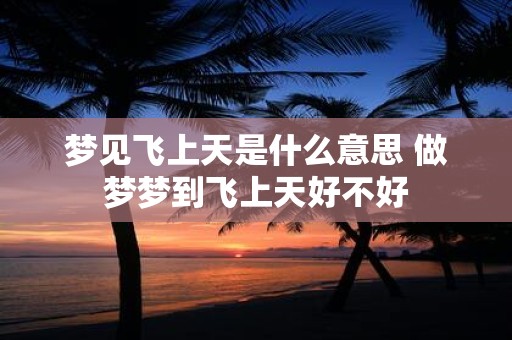 梦见飞上天是什么意思 做梦梦到飞上天好不好
