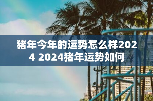 猪年今年的运势怎么样2025 2025猪年运势如何