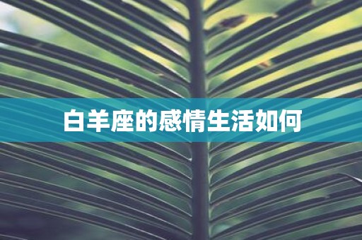 白羊座的感情生活如何