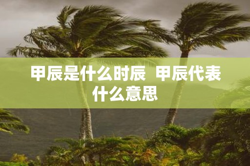 甲辰是什么时辰 甲辰代表什么意思