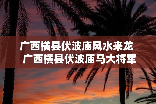 广西横县伏波庙风水来龙 广西横县伏波庙马大将军签语