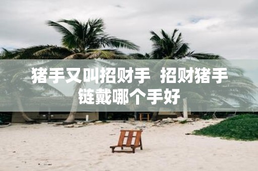 猪手又叫招财手 招财猪手链戴哪个手好