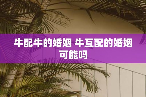 牛配牛的婚姻 牛互配的婚姻可能吗