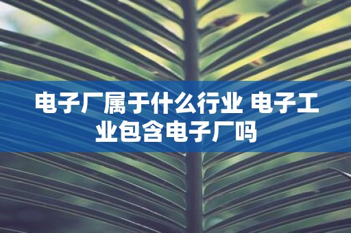电子厂属于什么行业 电子工业包含电子厂吗