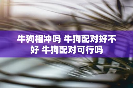牛狗相冲吗 牛狗配对好不好 牛狗配对可行吗