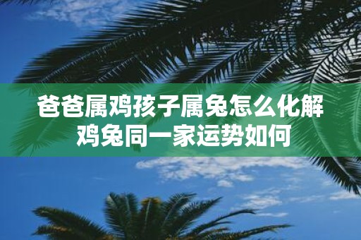 爸爸属鸡孩子属兔怎么化解 鸡兔同一家运势如何