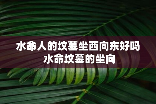 水命人的坟墓坐西向东好吗 水命坟墓的坐向