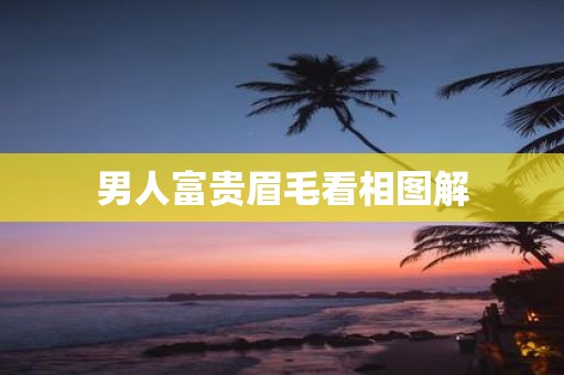 男人富贵眉毛看相图解