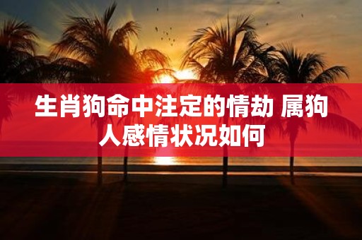 生肖狗命中注定的情劫 属狗人感情状况如何