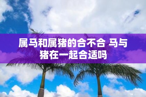 属马和属猪的合不合 马与猪在一起合适吗
