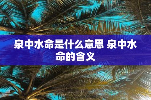 泉中水命是什么意思 泉中水命的含义