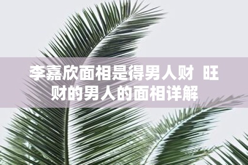 李嘉欣面相是得男人财 旺财的男人的面相详解