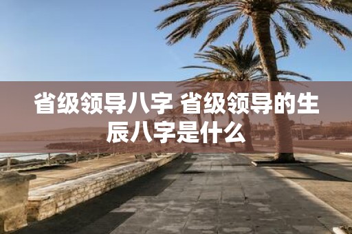 省级领导八字 省级领导的生辰八字是什么
