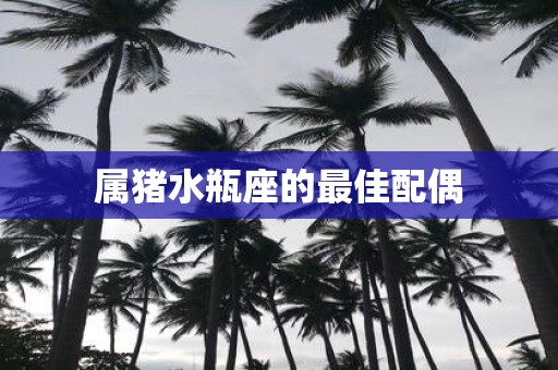 属猪水瓶座的最佳配偶