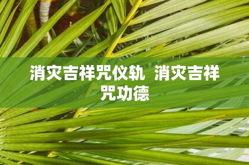 消灾吉祥咒仪轨 消灾吉祥咒功德